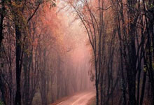 开运体育视频-上海上港主场激战北京国安,一场震撼全城的德比之战开启联赛新篇章